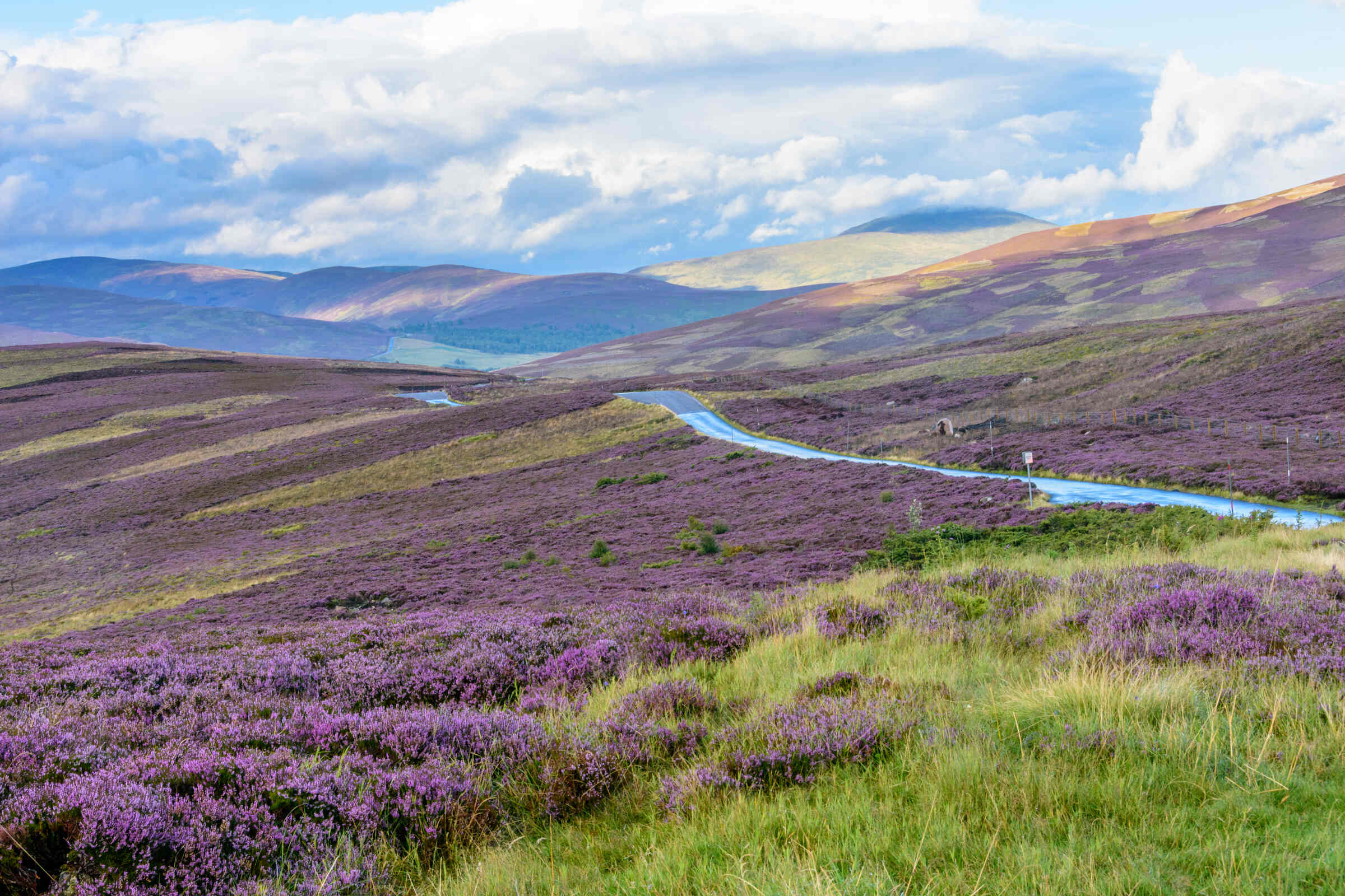 Cairngorms